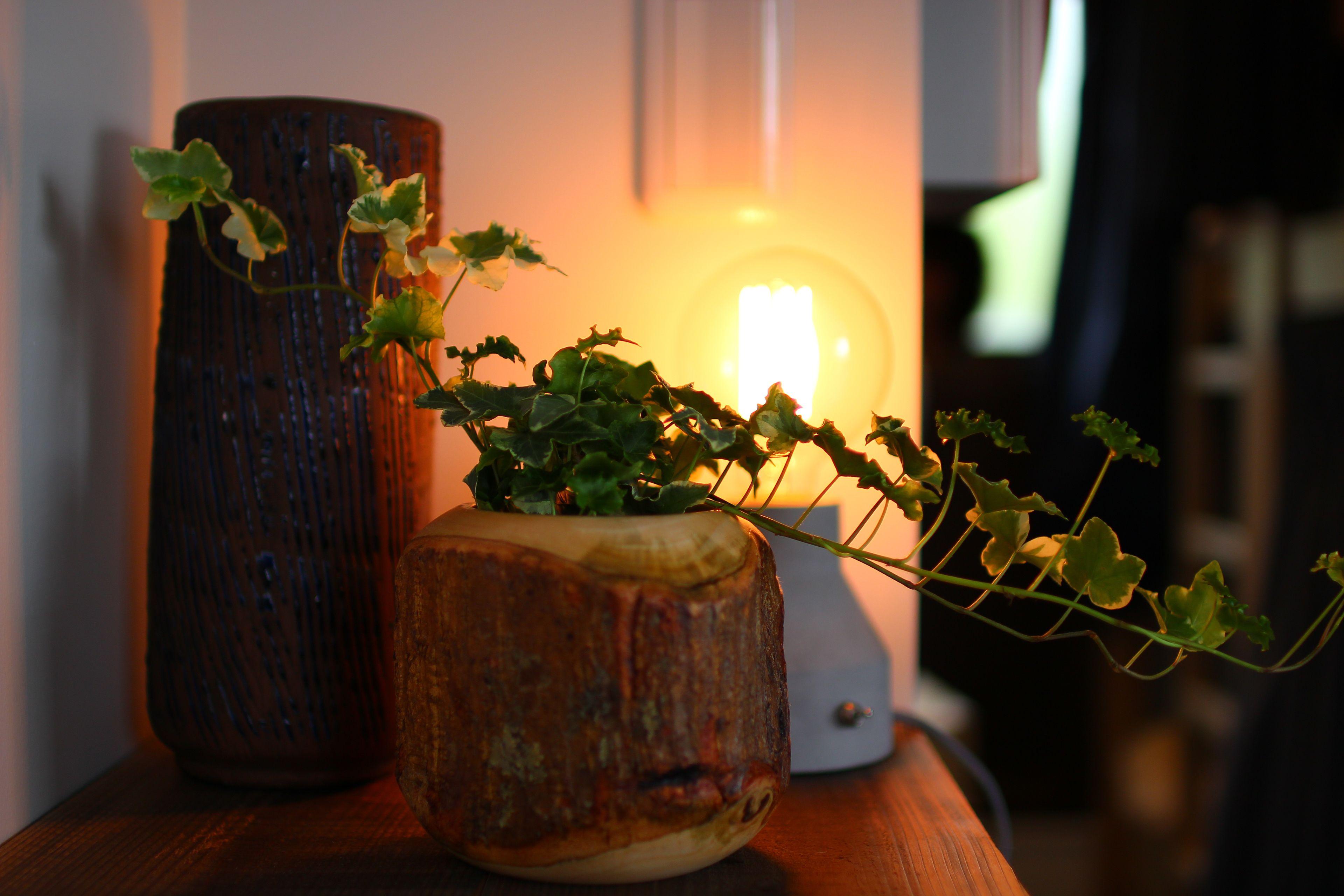 Koru Takanawa Gateway Hostel, Cafe&Bar - Tokyo — Photos 3